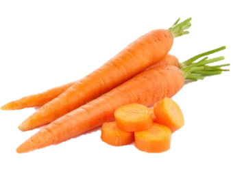 Carrot