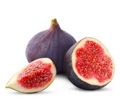 Fig